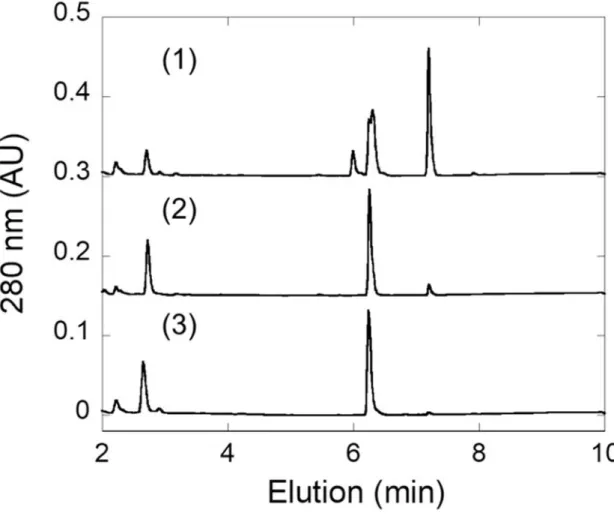 Fig. 5  ラット UGDH 及びラット UGT2B1 同時発現出芽酵母株による 