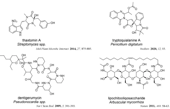 Figure 1-4. Natural products from host-symbionts/pathogens interaction.   