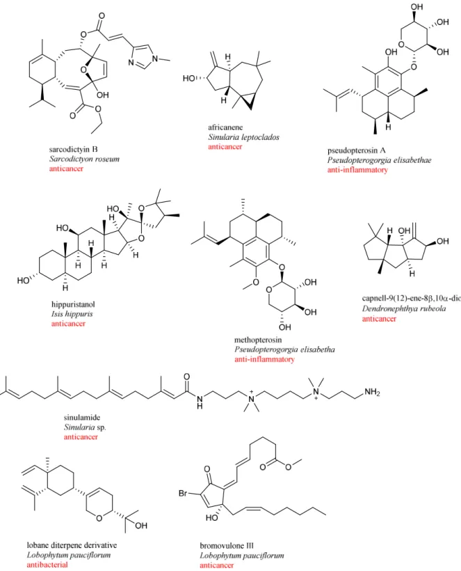 Figure 1-5. Chemical structures of new bioactive compounds from soft corals. 