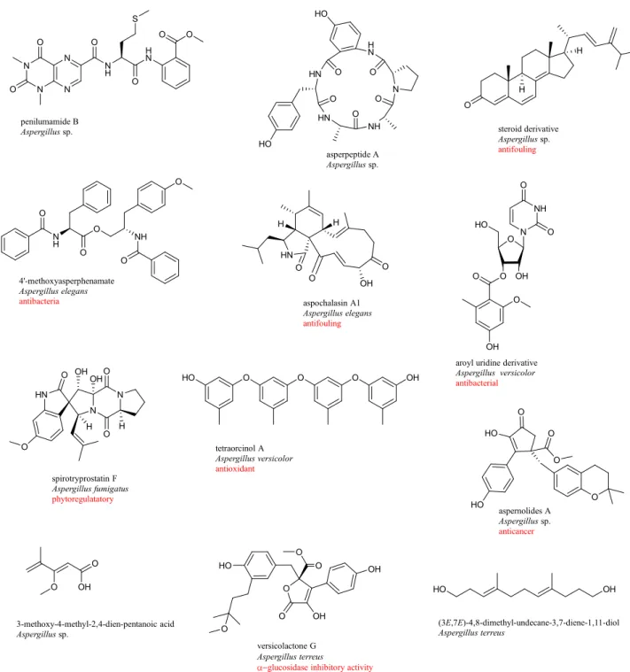 Figure 1-12. Chemical structures of new compounds isolated from Aspergillus sp. associated  with soft corals