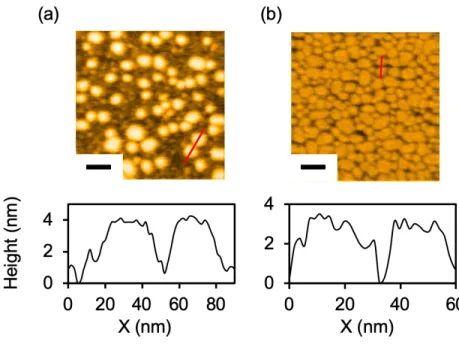 Figure 3. cHDL および uHDL の AFM 画像 