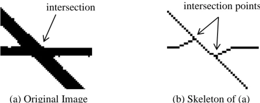 Figure 3.6: Intersection and Intersection Point (a) Original Image  (b) Skeleton of (a) 