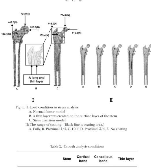 Fig. 1.  I: Load condition in stress analysis A. Normal femur model