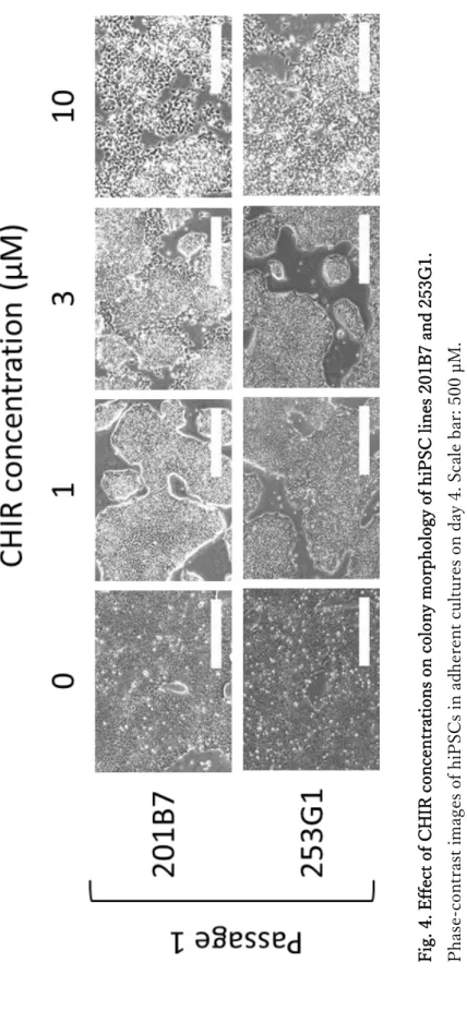 Fig. 4. Effect of CHIR concentrations on colony morphology of hiPSC lines 201B7 and 253G1