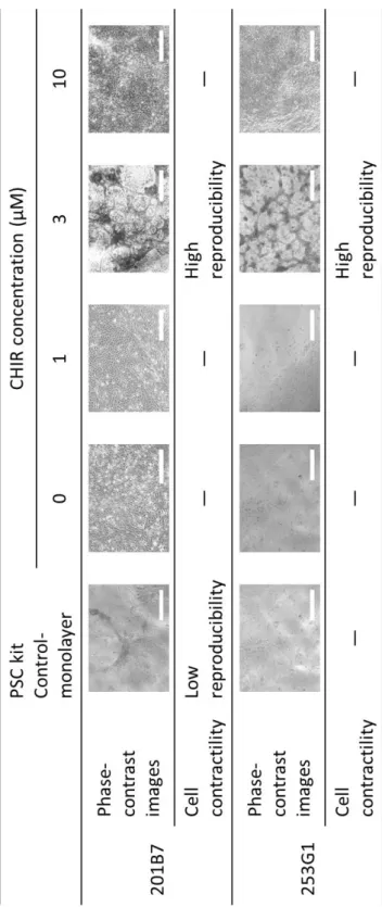 Table 4. Effect of CHIR treatments on cardiac differentiation. 