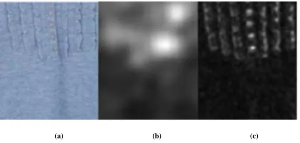 Fig. 12 Saliency map computed with the method given in [20]. (a) Input image. (b) Saliency Map  computed using low frequency band