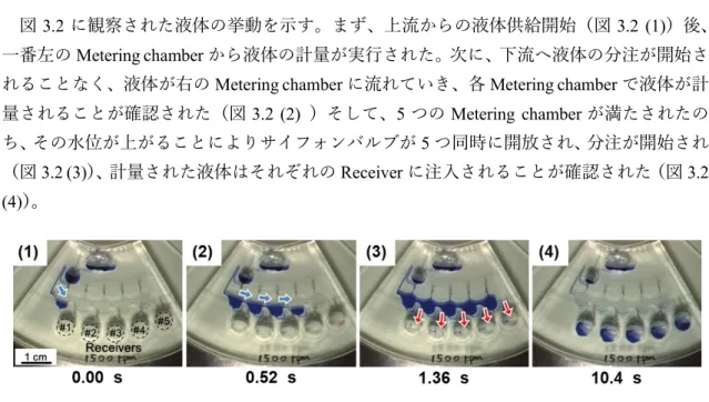 図 3.2 に観察された液体の挙動を示す。まず、上流からの液体供給開始（図 3.2  (1) ）後、