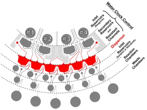 図 4.1 に設計した複数検体同時 ELISA デバイスを、図 4.2 にそのデバイスで実行される 一連のフローコントロールを示す。階層構造となっており、 2 章で実証した単検体の ELISA デバイスにおける Secondary reservoir と Reaction chamber （反応槽）の間に、 3 章で 開発した分注機構を実装することで、試薬をタイマー機構から 6 つの反応槽へ分注する設 計となっている。なお、実行される ELISA のプロトコルは、 2 章の単検体デバイスと同様 で、 Inl