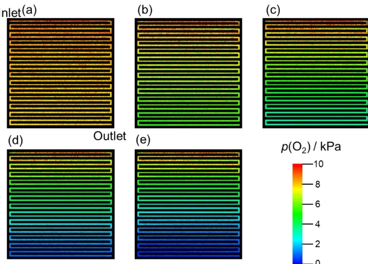 Fig. 2-9 Images of p(O 2 ) on the GDL surface at the cathode at Φ(O 2 ) = 10% during cell  operation (T = 80  o C, air flow rate = 200 mL min -1 , hydrogen flow rate = 100 mL min 
