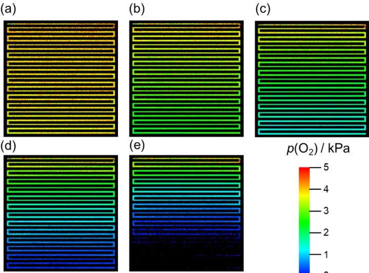 Fig. 2-10 Images of p(O 2 ) on the GDL surface at the cathode at Φ(O 2 ) = 5% during cell  operation (T = 80  o C, air flow rate = 200 mL min -1 , hydrogen flow rate = 100 mL min -1 ,  ambient pressure) at 0 (U O2  = 0%) (a), 0.03 (U O2  = 30.5%) (b), 0.06