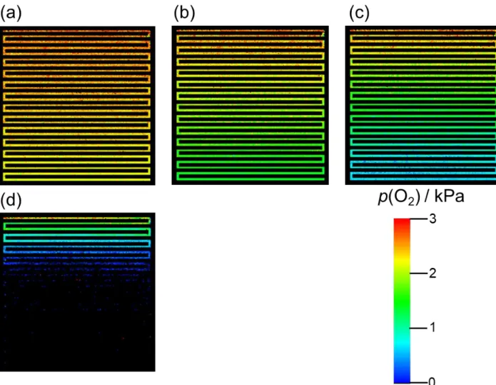 Fig. 2-11 Images of p(O 2 ) on the GDL surface at the cathode at Φ(O 2 ) = 3% during  cell operation (T = 80  o C, air flow rate = 200 mL min -1 , hydrogen flow rate = 100 mL  min -1 , ambient pressure) at 0 (U O2  = 0%) (a), 0.018 (U O2  = 30.5%) (b), 0.0