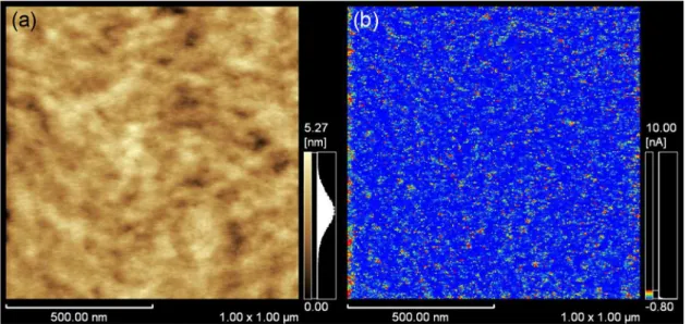 図 3.9      (a) S-PEDOT の AFM 高さ像 ,    (b)  コンタクトモードで測定した S-PEDOT の cAFM  電流像