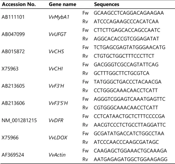 表 1  リアルタイム RT-PCR に用いたプライマーの配列 