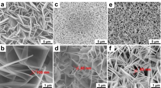 Figure 2.3. SEM micrographs of the surface of (a, b) CoAl LDH film, (c, d) NiAl LDH film (e, f) and  NiFe LDH film