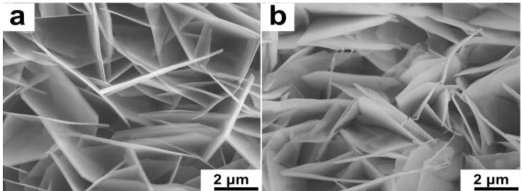 Figure 2.6. SEM micrograph of (a) pristine CoAl LDH (b) CoAl LDH obtained by 6000 cycles  galvanostatic charge-discharge test