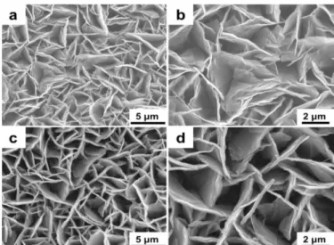 Figure 3.16. FESEM micrographs of (a, b) CoAl LDH and (c, d) CoAl LDH-PANI obtained by 6000  GCD cycles