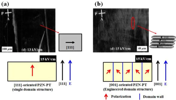 Figure 1. 7 Domain structure in PZN-PT single crystal under electric field.   