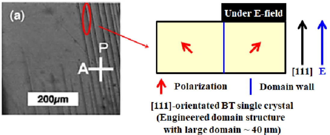 Figure 1. 9 Domain structure in [111]-orientated BT single crystal 38