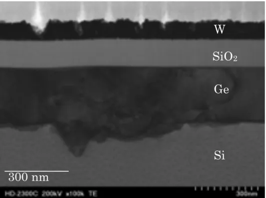 図 3.3.4  800 ℃で加熱を行なったサンプルの断面 STEM 画像図3.3.3  900℃で加熱を行なったサンプルの断面STEM 画像300 nm Si Ge SiO2W 300 nm Si Ge SiO2W 