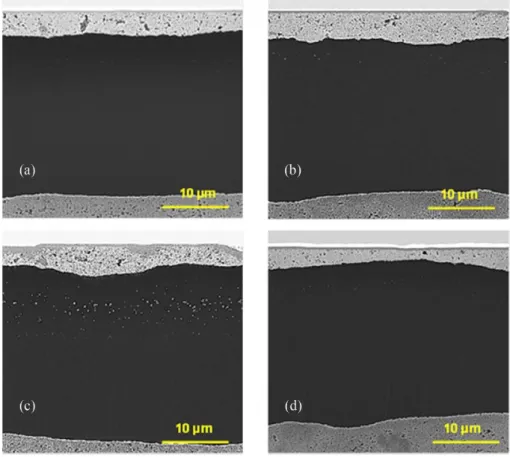 Fig. 2-4 shows the SIM images of the MEA cross-sections produced using the focused  ion  beam  after  the  durability  evaluations