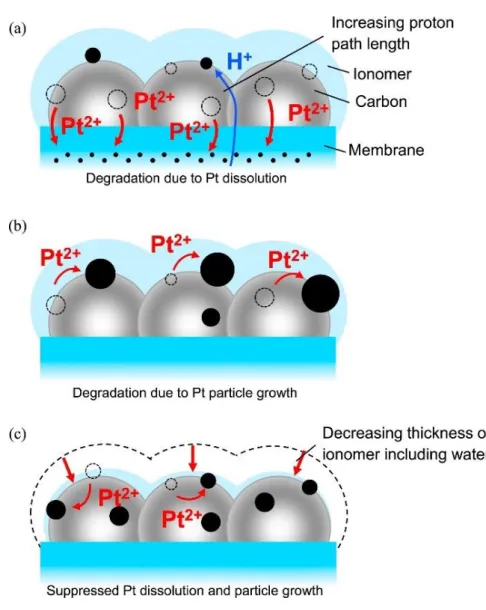 Figure 2-8. Schematic of Pt (black) degradation on the GCB (gray) support in the cathode for (a)  load cycles with a longer OCV holding time (A3, ca