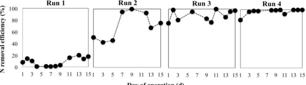 Figure  5.2  Nitrogen  removal  efficiencies  of  the  continuous  hydrogen  supply  reactors