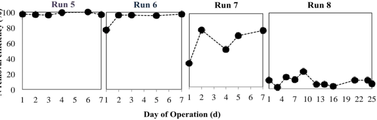 Figure  5.5  Nitrogen  removal efficiencies of the  intermittent hydrogen supply reactors