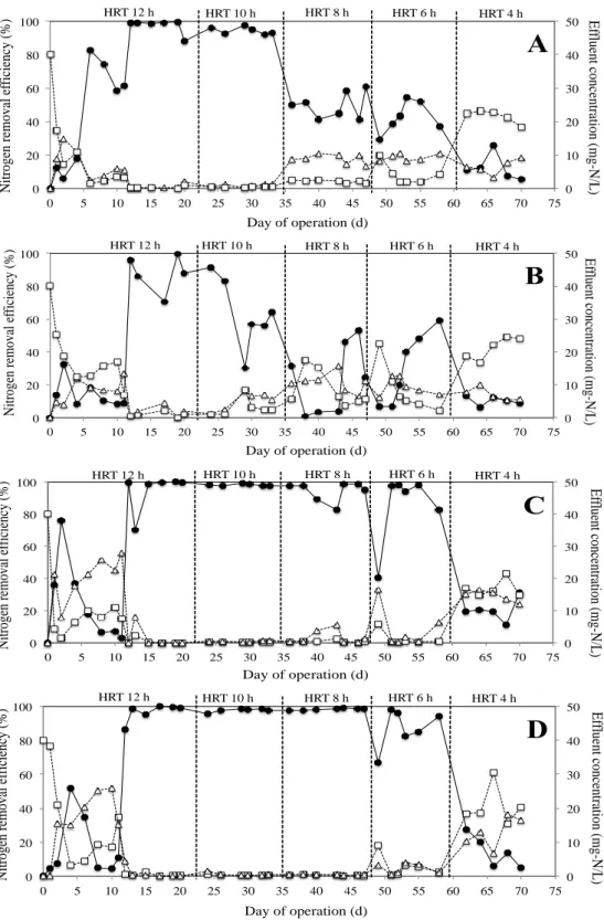 Figure  6.3  The  Effect  of  HRTs  on  the  nitrogen  removal  efficiency  with  Biofringe  as  carrier material (A), PVA gel as carrier material (B), Aqua cube as carrier material (C)  and Biofix as carrier material (D)