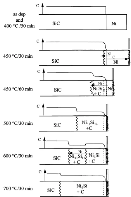 Figure 3- 19：Ni on SiC  における C の拡散、濃縮の様子 