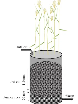 Figure 1. Schematic diagram of microcosm-scale CW 