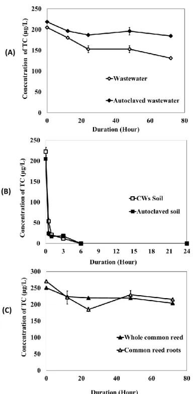Figure 3.  Changes in TC concentrations in original wastewater/autoclaved wastewater  experiments (A), in original soil/autoclaved soil material experiments (B), and in sterile  whole  plant/root  material  experiments  (C)