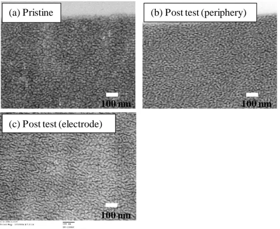Figure  3-10.  TEM  images  of  lead  ion-stained  (a)  pristine  SPK  polymer,  (b)  periphery  region, and (c) electrode region in type C after durability cycles