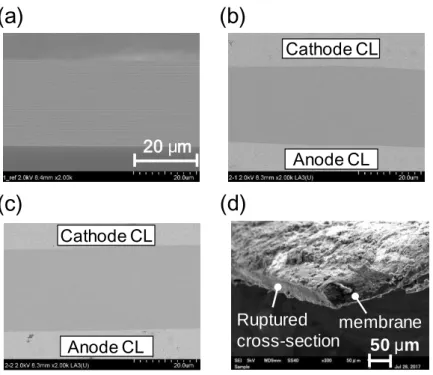 Figure  4-9.  Cross-sectional  SEM  images  of  (a)  pristine  SPP  membrane;  (b)  membrane  in  the  electrode  region;  (c)  membrane  in  the  peripheral  region;  (d)  crack  region of the membrane in the SG edge of the peripheral region after durabil