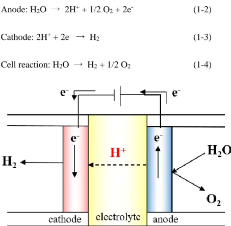 Fig. 1-4 Schematic illustration of proton conducting SOEC. 