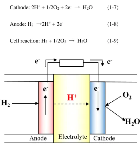 Fig. 1-6 Schematic illustration of proton conducting SOFC. 