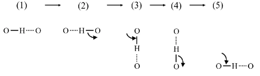 Fig. 1-7 Movement of proton in the perovskite-type oxide. 
