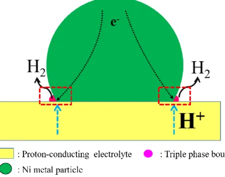 Fig. 1-9 Schematic illustration of hydrogen evolution reaction (HER). 