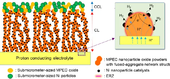 Fig.  2-1  Schematic  images  of  double  layer  (DL)  electrode  for hydrogen  electrode  of  proton conducting solid oxide electrolysis cells (SOECs)