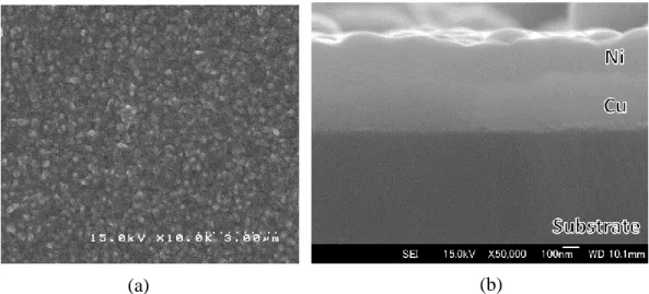 Fig.  2.4  (a)  Surface  and  (b)  cross-sectional  SEM  images  of  Cu-Ni  films  with  a  precursor  composition of 1:1