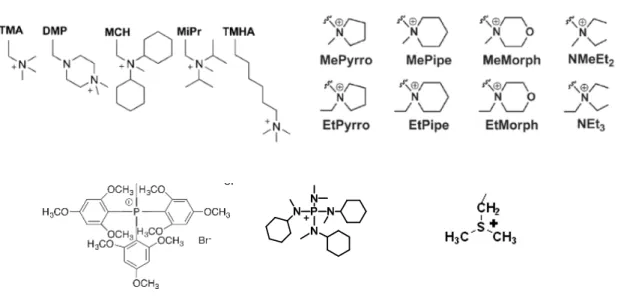 Figure 1.7 Molecular structures of Anion conductive group. 