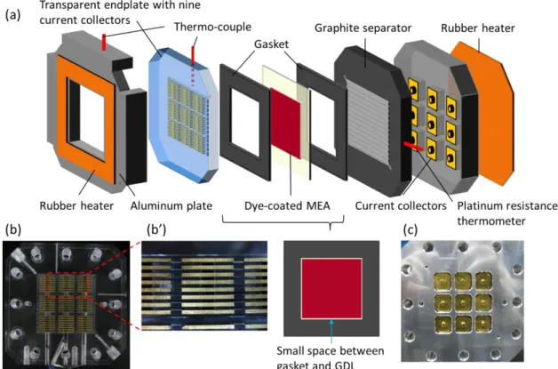 Fig. 2-4 Schematic drawing of a 9-segmented see-through PEFC (a), photographic view  of  the  cathode  side  with  a  transparent  acrylic  plate  (b),  embedded  metal  ribs  for  the  current  collections  (b’),  and  photographic  view  of  the  anode  