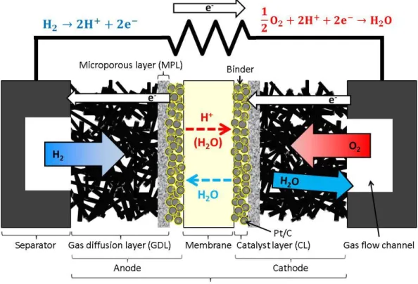 Fig. 1-1 Schematic drawing of a PEFC 