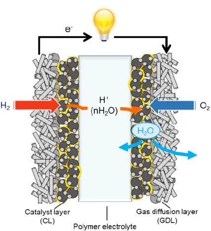 Figure 1-4. Schematic of typical MEA for PEFCs. 