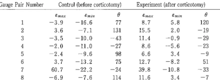 Figure 6. Strain distribution in the experimental skull.