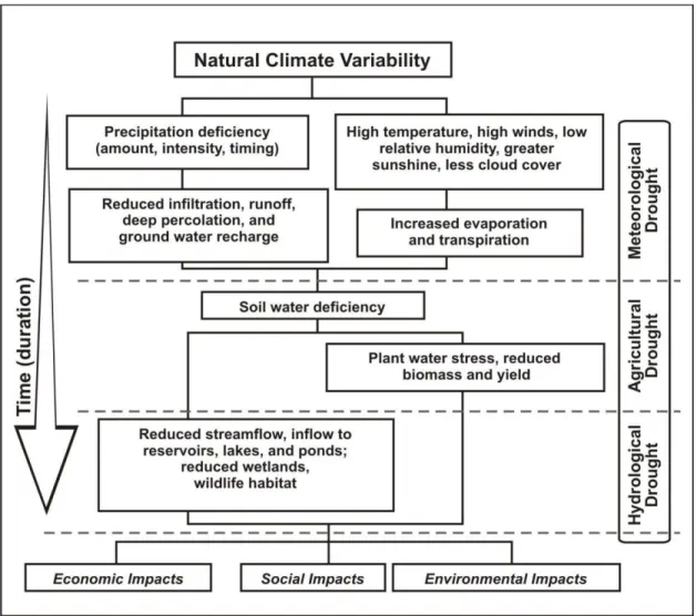 Figure 2.1 Sequence of drought occurrence and impacts for commonly accepted drought  types (Source: National Drought Mitigation Center, University of Nebraska-Lincoln, U.S.A.) 