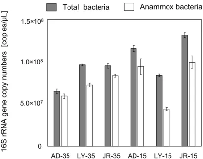 Fig.  3-4  Quantification  of  the  anammox  bacteria  in  all  the  samples  of  enriched  sludge 