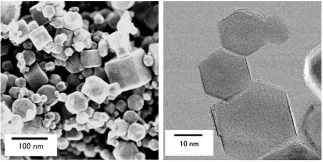 Fig. 2-1 SEM and TEM image of TiC support 