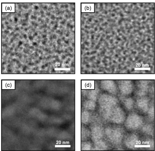 Figure  2-9.  TEM  images  of  (a)  Nafion  NRE211,  (b)  Aquivion,  (c)  SPE-bl-1,  and  SPK-bl-1  membranes