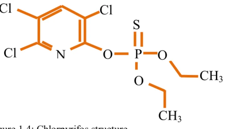 Figure 1.4: Chlorpyrifos structure 