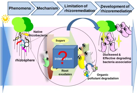 Fig. 1.4 The schematic diagram of this study 